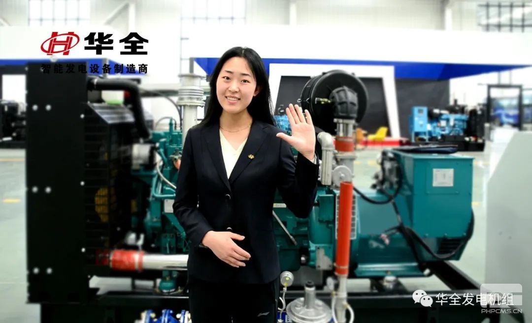 200千瓦燃?xì)獍l(fā)電機組